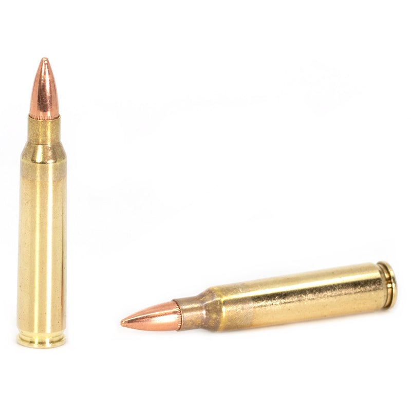 Fiocchi Range Dynamics 5.56mm NATO M193 Ammo 55 Grain FMJBT Case of 1000