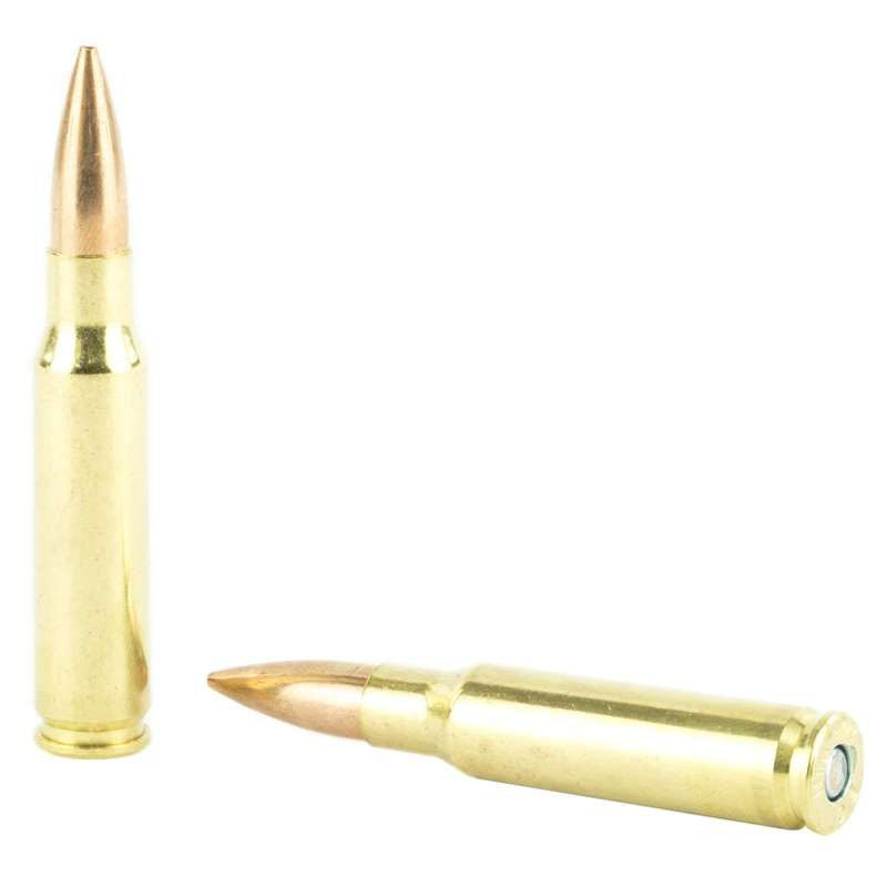 Federal Gold Medal 308 Winchester Ammo 175 Grain Sierra MatchKing Hollow Point