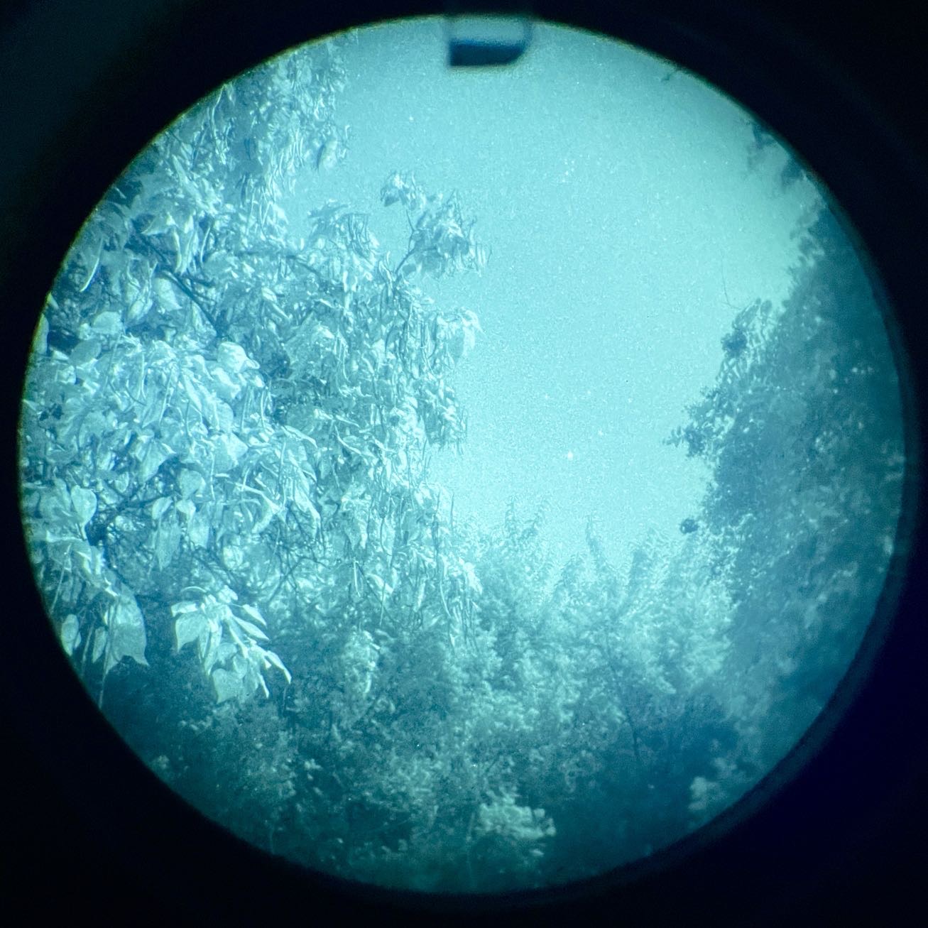 Infiray Jerry-31 WP Night Vision Binocular W/FREE battery Pack FREE GLOBAL SHIPPING