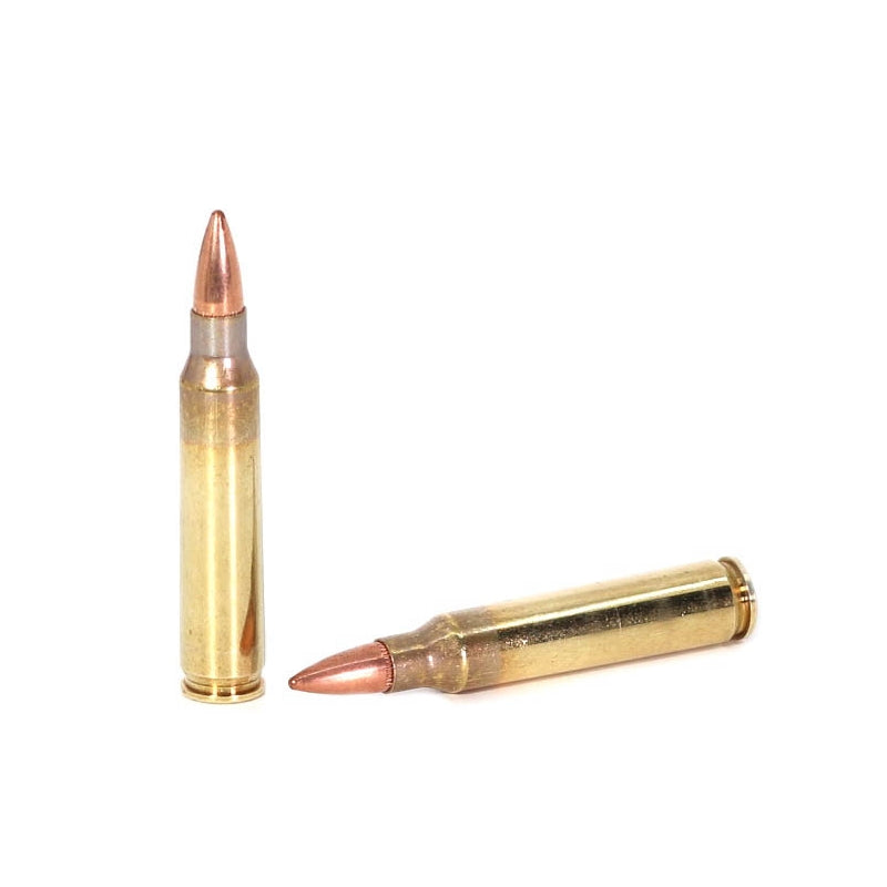 Fiocchi Shooting Dynamics 223 Remington Ammo 55 Grain Full Metal Jacket Case of 1000