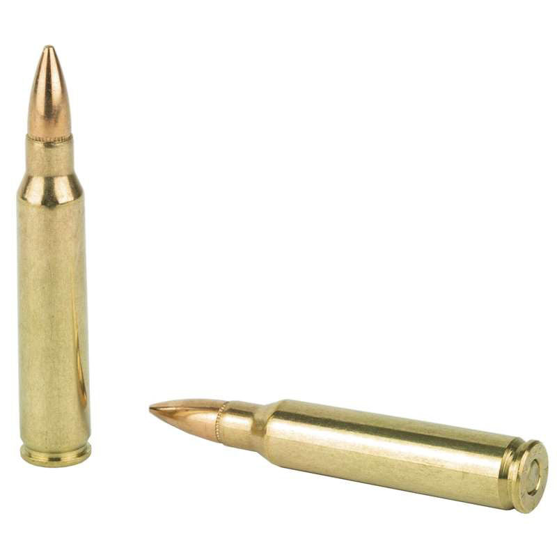 PMC Bronze 223 Remington Ammunition 55 Grain Full Metal Jacket Case of 1000